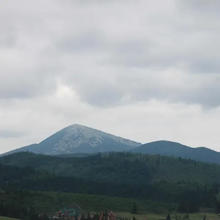 Гостевой дом U Yaremy Микуличин