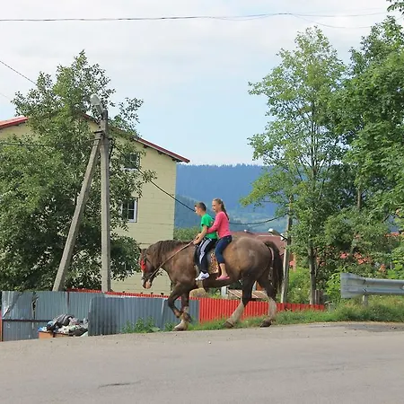 U Yaremy Mykulychyn
