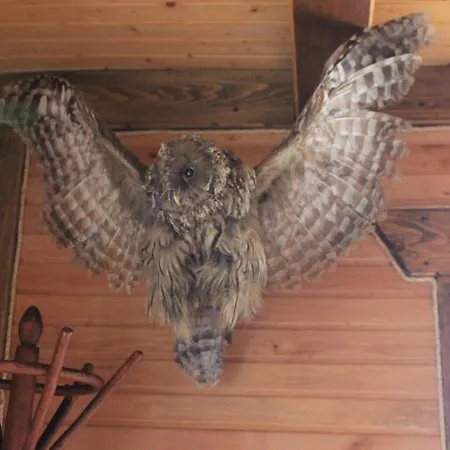 Гостевой дом U Yaremy