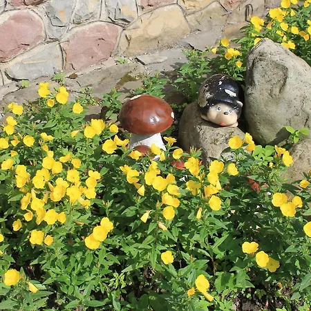 Guest house U Yaremy