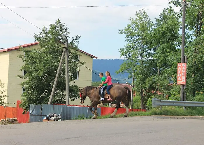 U Yaremy Mykulychyn